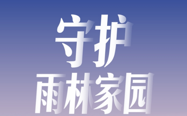 一份手册H5带你领略海南热带雨林国家公园建设主题展